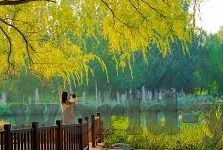 亚洲欧美日韩中文字幕在线-探索亚洲、欧美、日韩影视文化的多元魅力，中文字幕在线观影的乐趣