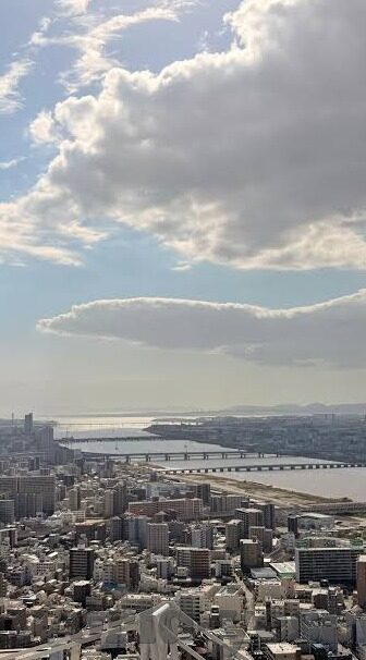 中文字幕 人妻 一区-探索中文字幕在成人影视中的角色与影响